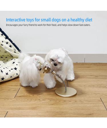 Tomxcute Interactive Cat Toy with Feather: Slow Feeder Treat Dispenser for Hunting, Chasing, and Exercising - Gold - Buy Online on GoSupps.com