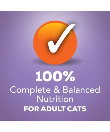 Purina Friskies Indoor Adult Wet Cat Food - 24-Pack Turkey & Cheese 5.5 oz Cans - Buy Online on GoSupps.com