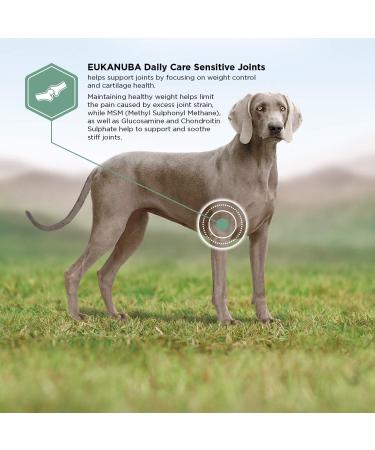 Eukanuba Adult Dog Daily Care Sensitive Joints For All Breeds Chicken 2.5kg - Buy Online on GoSupps.com