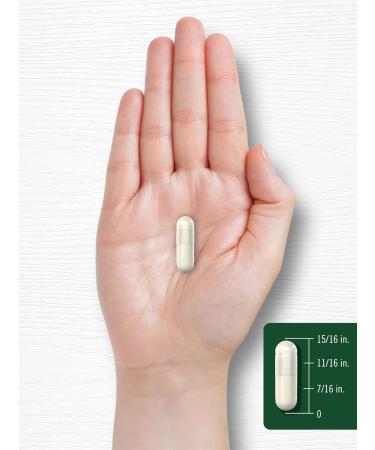 Carlyle Apple Cider Vinegar Capsules | 450mg | 200 Pills | Non-GMO Gluten Free Supplement - Buy Online on GoSupps.com