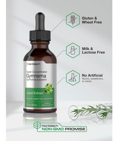 Horb ach Gymnema Sylvestre Liquid Extract | 2 fl oz | Alcohol Free Drops | Super Concentrated Supplement Tincture | Vegetarian Non-GMO Gluten Free - Buy Online on GoSupps.com