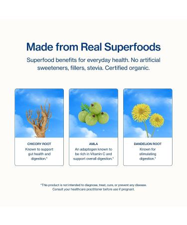 Sunwink Digestion Lemonade Powder - Organic Superfood for Debloat & Gut Health - Amla, Dandelion & Chicory Root Extract - 4.2oz - Buy Online on GoSupps.com