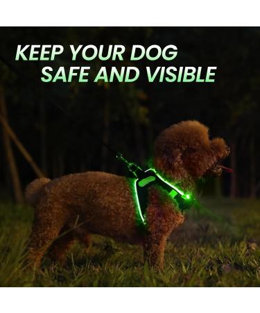 Buy PCEOTLLAR USB Rechargeable Reflective Dog Harness - Lightweight LED Light Breast Harness for Small & Medium Dogs - Breathable & Flashing - XS Black Green - Buy Online on GoSupps.com