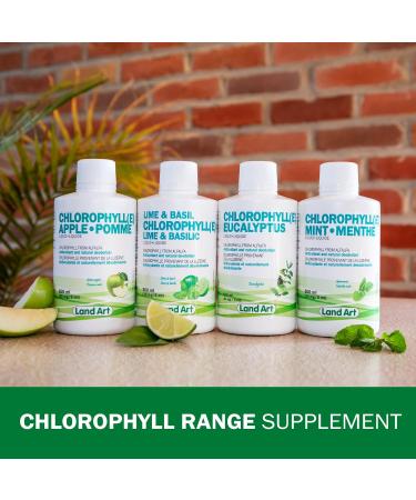Liquid Chlorophyll Eucalyptus 500ml Cold Extracted from Non-GMO Alfalfa - Detox - Alkaline - Natural Body Deodorant Antioxidant - Made in Canada - Buy Online on GoSupps.com