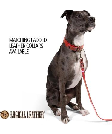 Logical Leather 6FT Braided Dog Leash - Heavy Duty Full Grain Leather Lead in Red - Buy Online on GoSupps.com