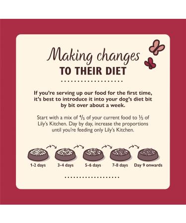 Lily's Kitchen Made with Natural Ingredients Adult Dry Dog Food Salmon & Venison Grain Free Recipe 12kg - Buy Online on GoSupps.com