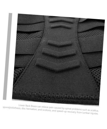 FOMIYES 5pcs Lower Back Brace Women s Waist Support Belt for Fitness & Protection - Buy Online on GoSupps.com