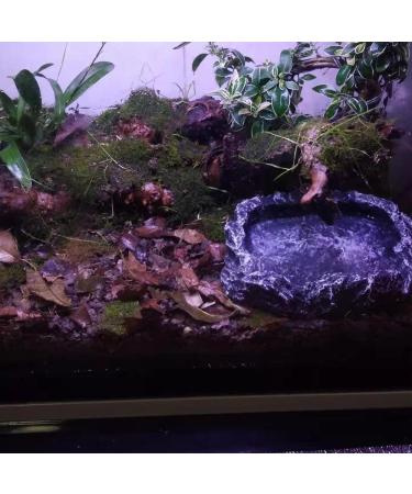 NA 2 Pcs Reptile Food Bowl Reptile Feeder Pet Aquarium Ornament Terrarium Feeder Resin Dish Lizard Feeder Food Bowl Rock Food Water Dish for Tortoise Lizard Chameleon Gecko - Buy Online on GoSupps.com