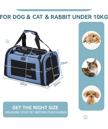 PetSfit TransportBox: Foldable Dog & Cat Carrying Bag - Portable Travel Bag with Shoulder Strap & Expandable Bed - L Size - Blue - Buy Online on GoSupps.com