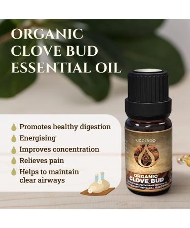 Ecodrop Clove Bud Essential Oil - 10ml | 100% Pure Therapeutic Grade Eugenia Caryophyllata Oil for Aromatherapy & Pain Relief - Buy Online on GoSupps.com