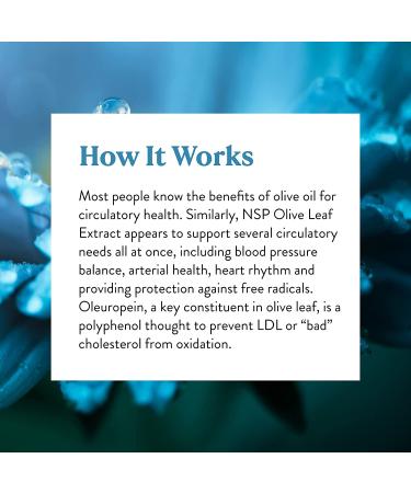 Nature's Sunshine Olive Leaf Extract Concentrate 60 Capsules - Buy Online on GoSupps.com