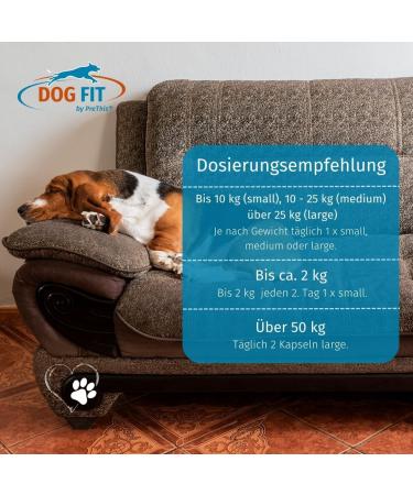 Dog Fit by Prethis Care | Senior Dog Vitamins & Minerals | Joint Protection Supplement | No Additives | Medium Size (10-25kg) - Buy Online on GoSupps.com