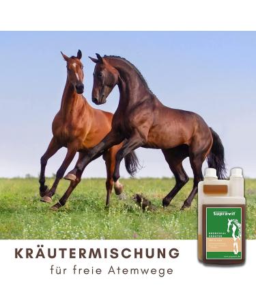 Supravit Bronchial Herbs for Horses | 1000ml Liquid Herbal Mixture | Supports Airway Health with 14 Natural Ingredients - Buy Online on GoSupps.com