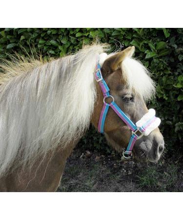 Rhinegold Turquoise Stripe Bright Striped Fur Trim Small Pony Headcollar
