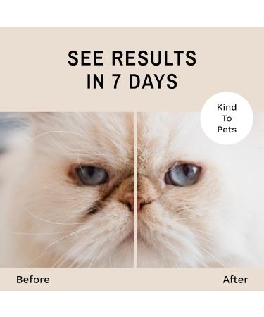 Eye Envy EE-2OZ Powder - 2oz Premium Pet Tear Stain Remover | International Shipping Available - Buy Online on GoSupps.com