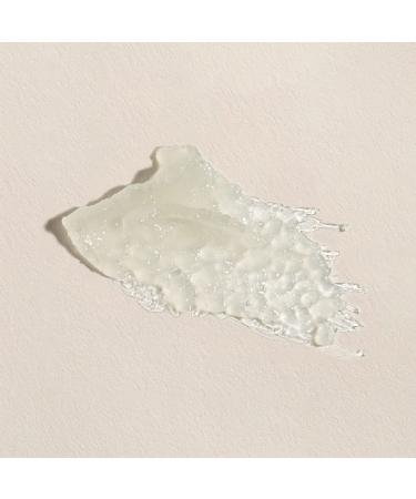 Peptide Lip Treatment with Anti-Aging Benefits | Clean 100% Vegan Cruelty Free | Restorative Repair For Dry Lips That Visibly Plumps and Hydrates | One Lip Wonder by Fleur & Bee (0.17 oz) 0.17 Ounces - Buy Online on GoSupps.com
