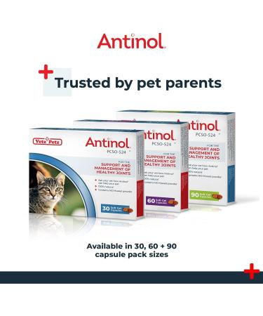 Antinol - Natural Joint Supplement for Adult Cats - Supports Joint Mobility & Skin Health - With Green Lipped Mussels Omega 3 & Vit E - 30 Capsules - Buy Online on GoSupps.com