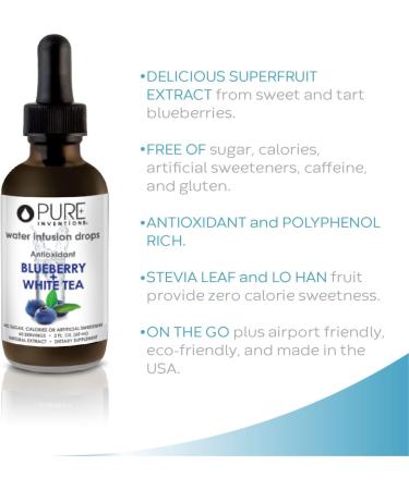 Pure Inventions Blueberry & White Tea Infusion Drops - 60 Servings, 2oz - No Sugar or Artificial Sweeteners - Buy Online on GoSupps.com