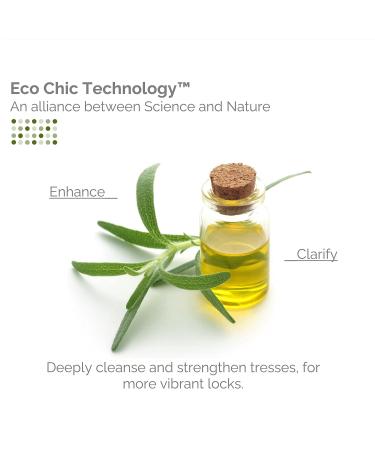 Giovanni Tea Tree Conditioner - Triple Treat Cleansing Formula 8.5oz - Moisturizing & Refreshing Formula - Buy Online on GoSupps.com