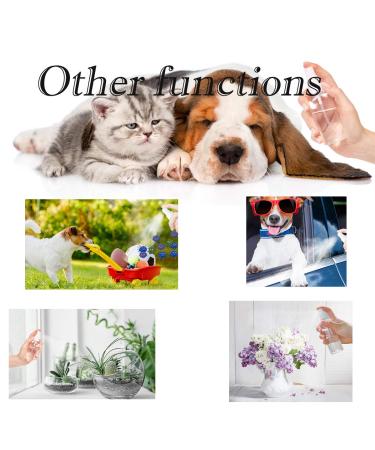 ZEJIA 2.7oz Fine Mist Clear Spray Bottles - Refillable & Reusable Travel Bottles for Essential Oils and Perfumes - Pack of 3 - Buy Online on GoSupps.com