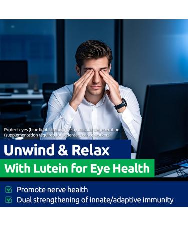 Multivitamin for Men - Biotin & Essential Men multivitamin with Vitamin A, C, D, E, B12, Zinc. Supports Energy, Focus, Hair Growth & Overall Health - 90 Capsules Men's Capsules - Buy Online on GoSupps.com