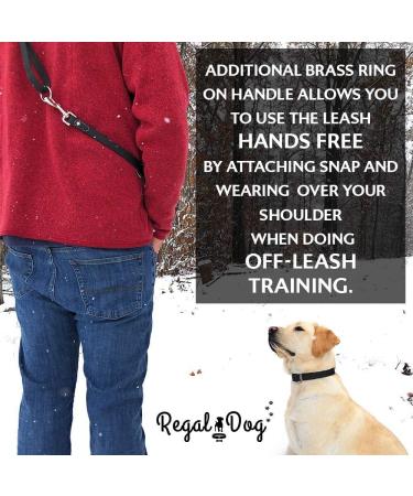 Regal Dog Halison Biothane Waterproof Collar & 1.5m Leash - Black | Durable Dog Gear for Small Medium & Large Breeds - Buy Online on GoSupps.com