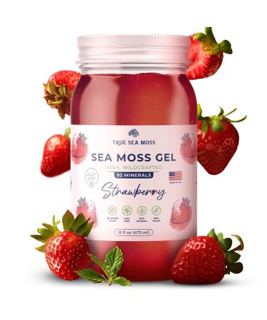 TrueSeaMoss Sea Moss Gel - Alternative Form of Sea Moss - Strawberry Irish Sea Moss Gel - Sea Moss Gel Organic Raw - Made in the USA - Strawberry Sea Moss Gel 473 ml (16 Fl Oz)