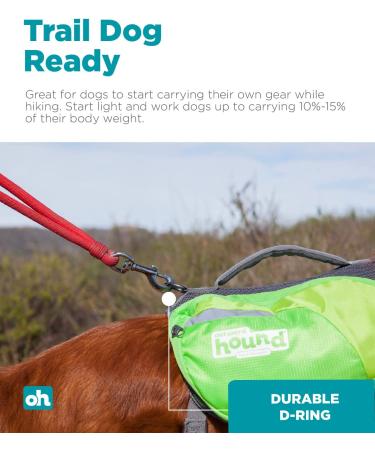 Outward Hound Daypak Green Dog Saddleback Backpack - Large - Buy Online on GoSupps.com