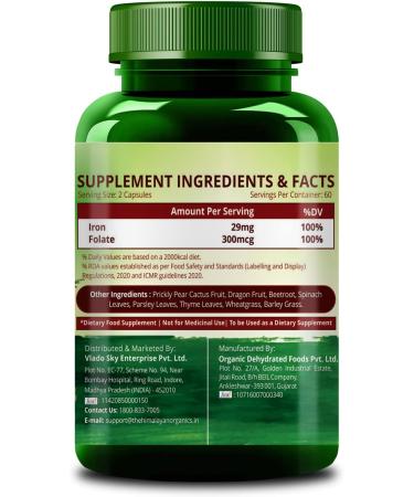 Himalayan Organics Plant Based Iron Supplement with Folate | Blood Builder | Whole Food | 120 Veg Capsules - Buy Online on GoSupps.com