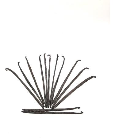 5 Gourmet Bourbon Vanilla Pods from Madagascar 16-18cm 100% Natural Aromatic Fresh and Fleshy - Buy Online on GoSupps.com