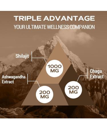 Shilajit Gummies 1400mg Shilajit Supplement with Chaga and Ashwagandha Original from Himalayan with Fulvic & Humic Acid and 85+ Minerals for Energy Immunity & Focus Sugar-Free 120 Gummies 60 count (Pack of 2) - Buy Online on GoSupps.com