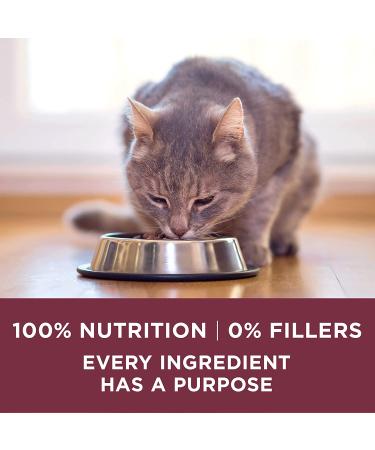 Purina ONE Urinary Tract Health High Protein Natural Adult Cat Food - Chicken, 7 lb Bag - Buy Online on GoSupps.com