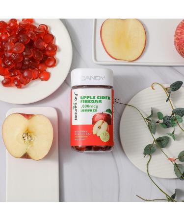 Nature's Key Apple Cider Vinegar Gummies 120 Count ACV Gummy with Folic Vitamin B6 B12 Beetroot & Pomegranate - Vegan Non-GMO & Gluten-Free 120 Count (Pack of 1) - Buy Online on GoSupps.com