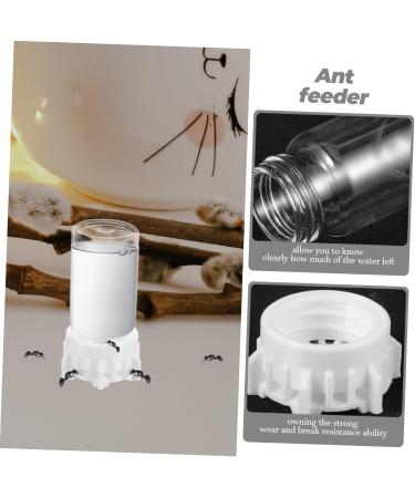 Minkissy Pet Water Feeder - Automatic Mini Ant Water Dispenser & Food Bowl for Small Ants - Ideal Ant Feeding System & Liquid Bottle Tool - Buy Online on GoSupps.com