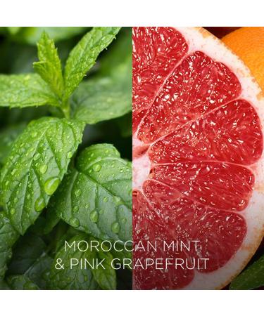 Botanica by AirWick Naturally Derived Wax Candle - Moroccan Mint & Pink Grapefruit | Up to 40 Hours Burn Time | Pack of 1 - Buy Online on GoSupps.com