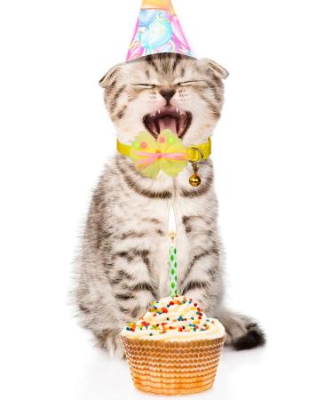 3-Piece Adjustable Cat Collars with Safety Lock | Cute & Durable Kitten Collars for Cats & Puppies (19-32 cm) - Buy Online on GoSupps.com