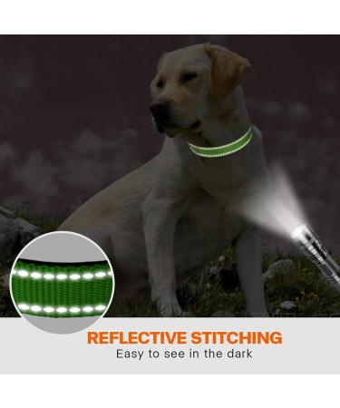 Taglory Soft Padded Neoprene Dog Collar for Medium Dogs - Adjustable Reflective Green - Ideal for Training | 1 Pack - Buy Online on GoSupps.com
