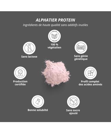 Nutri + Alphatier Vegan Protein Powder - Strawberry - Protein powder with 81% protein - Strawberry Protein Powder - - Buy Online on GoSupps.com