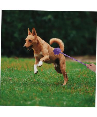 POPETPOP 2pcs Dog Training Target Sticks - Pet Supplies Toy Tools for Small Dogs - 42X8X0.8cm - Buy Online on GoSupps.com