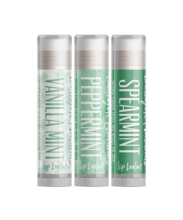 Mint Kisses Lip Balm Gift Set - Vanilla Mint Peppermint and Spearmint