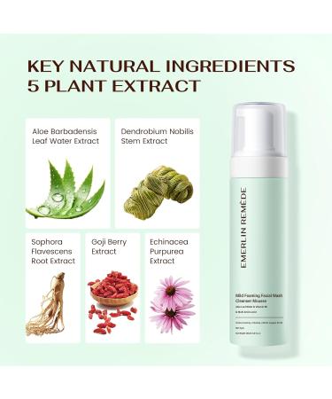 Emerlin Rem de Mild Foaming Facial Wash Cleanser Mousse with Aloe Leaf Water Amino Acids & Vitamin B5 Gentle Hydrating Face Wash for All Skin Types 200ml - Buy Online on GoSupps.com
