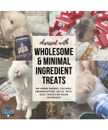 No Furries Delights Treats 100% All Natural Mini Bites for Rabbit Hamster Guinea Pig Chinchilla Pet Rat Mice Gerbil Bird Healthy Enrichment Bonding Rewarding Training (Mixed Green Bites 50g) - Buy Online on GoSupps.com