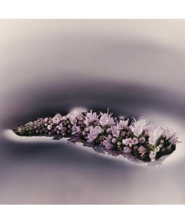 Aesop Eleos Moisturizing Body Cleanser | Hydrating Ingredients For Refreshed Soft Skin | Enriched With Emollients Humectants Purifying Botanicals | 180mL / 6.2oz - Buy Online on GoSupps.com