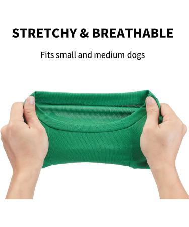 Funny Dog Christmas Shirts - Dwarf Prints for Small Dogs (XS Green & Black) - Adorable Puppy Clothing - Buy Online on GoSupps.com