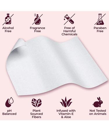 320 Flushable Feminine Wet Wipes for Women with Vitamin-E & Aloe - pH Balanced & Flushable Safe - Buy Online on GoSupps.com