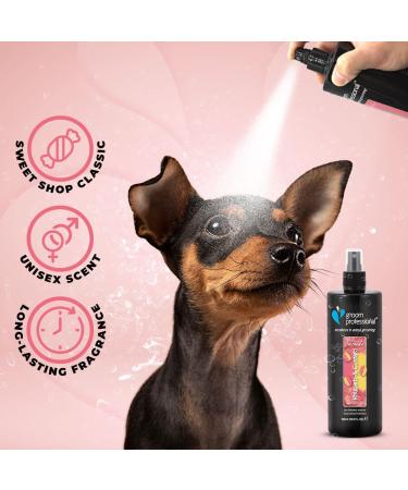GROOM PROFESSIONAL Rhubarb & Custard Dog Cologne Spray - Dog Perfume Spray - Dog Spray for Smelly Dogs - Reminiscent of a Classic Candy Favourite - Perfect for Between Washes 500ml 500 ml (Pack of 1) - Buy Online on GoSupps.com