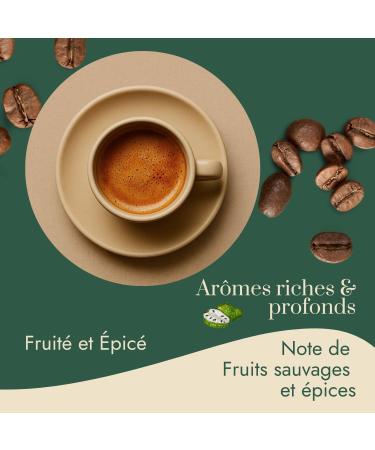 Graindecaf Caf Vert thiopie Moka Harrar 1kg | 100% Arabica Naturel Non Torr fi | Sauvage Et pic | Notes De Fruits Secs Et Moka | Id al Machine Grain Une Fois Torr fi 1 1 kg (Lot de 1) - Buy Online on GoSupps.com