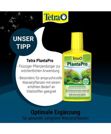 Tetra Plantamine Liquid Iron Fertilizer - 100ml Universal Nutrients for Healthy Aquarium Plants - Monthly Application - Buy Online on GoSupps.com