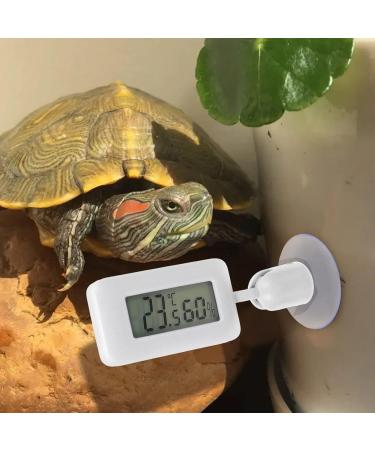 Frcolor Reptile Hygrometer & Digital Temperature Display for Reptile Tanks | Essential Accessories for Bar Tagame and Terrarium Care - Buy Online on GoSupps.com