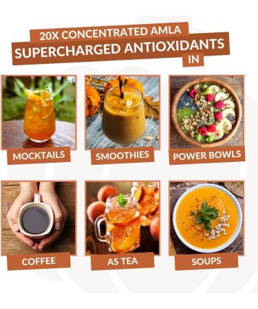 Amla Powder Green Tea Superfood Supplement with Pumpkin Spice & Hibiscus & Elderberry Organic Vegan 30 Servings - Buy Online on GoSupps.com